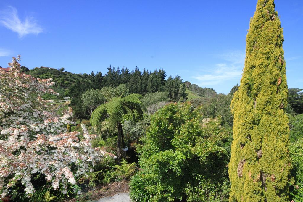 Villa Durie Vale Retreat Whanganui Exterior foto